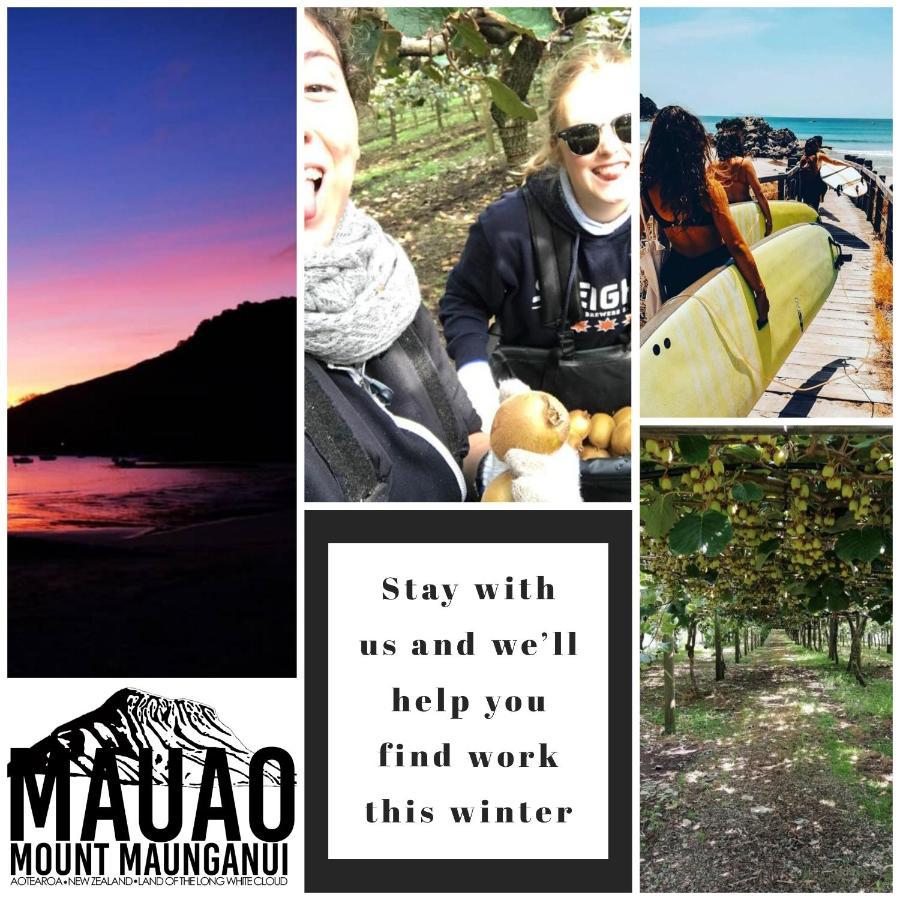 Mount Backpackers Hostel Mount Maunganui Bagian luar foto